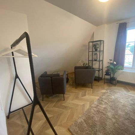 Apartman V Centru Krumlova Český Krumlov المظهر الخارجي الصورة