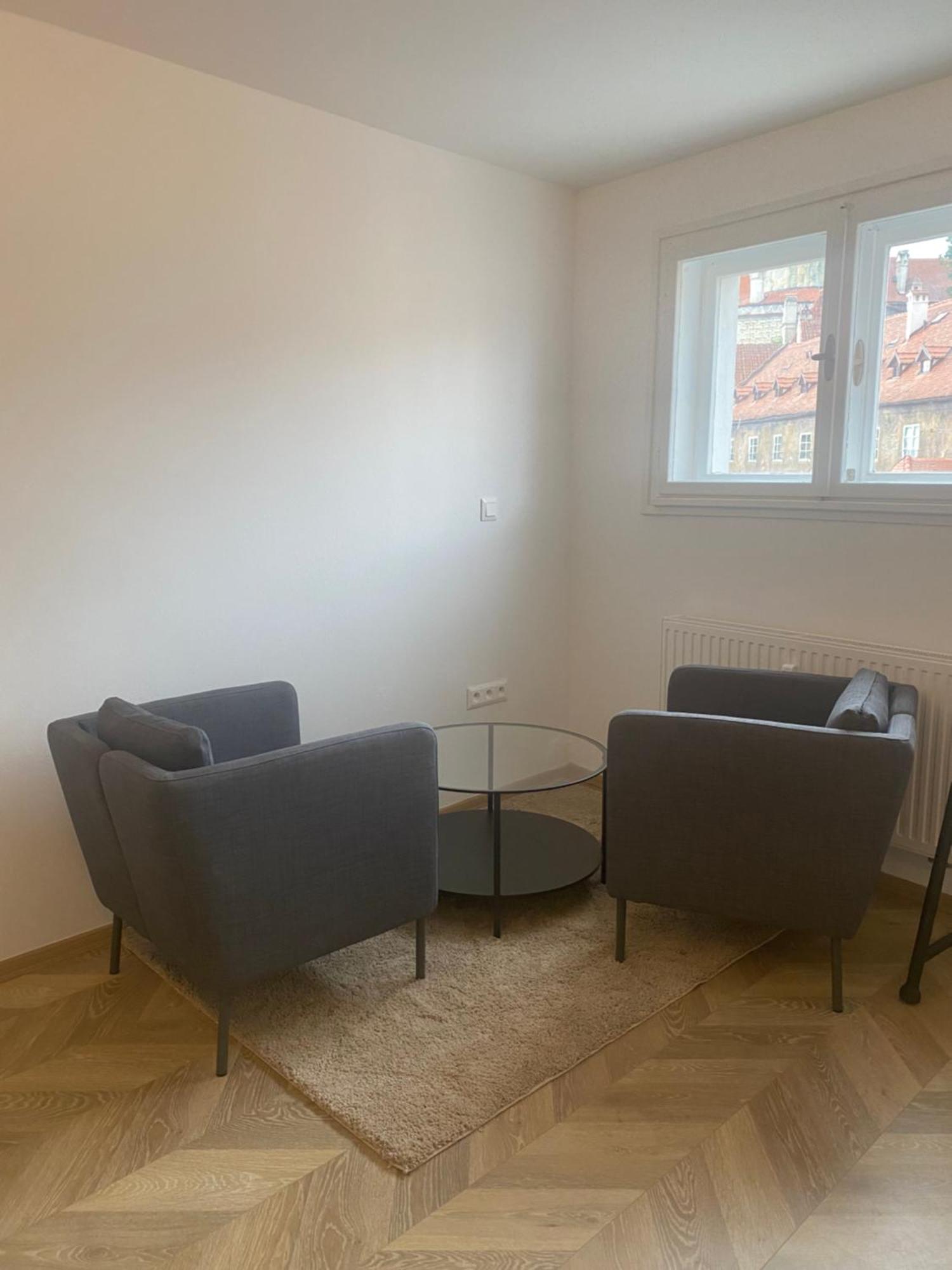 Apartman V Centru Krumlova Český Krumlov المظهر الخارجي الصورة